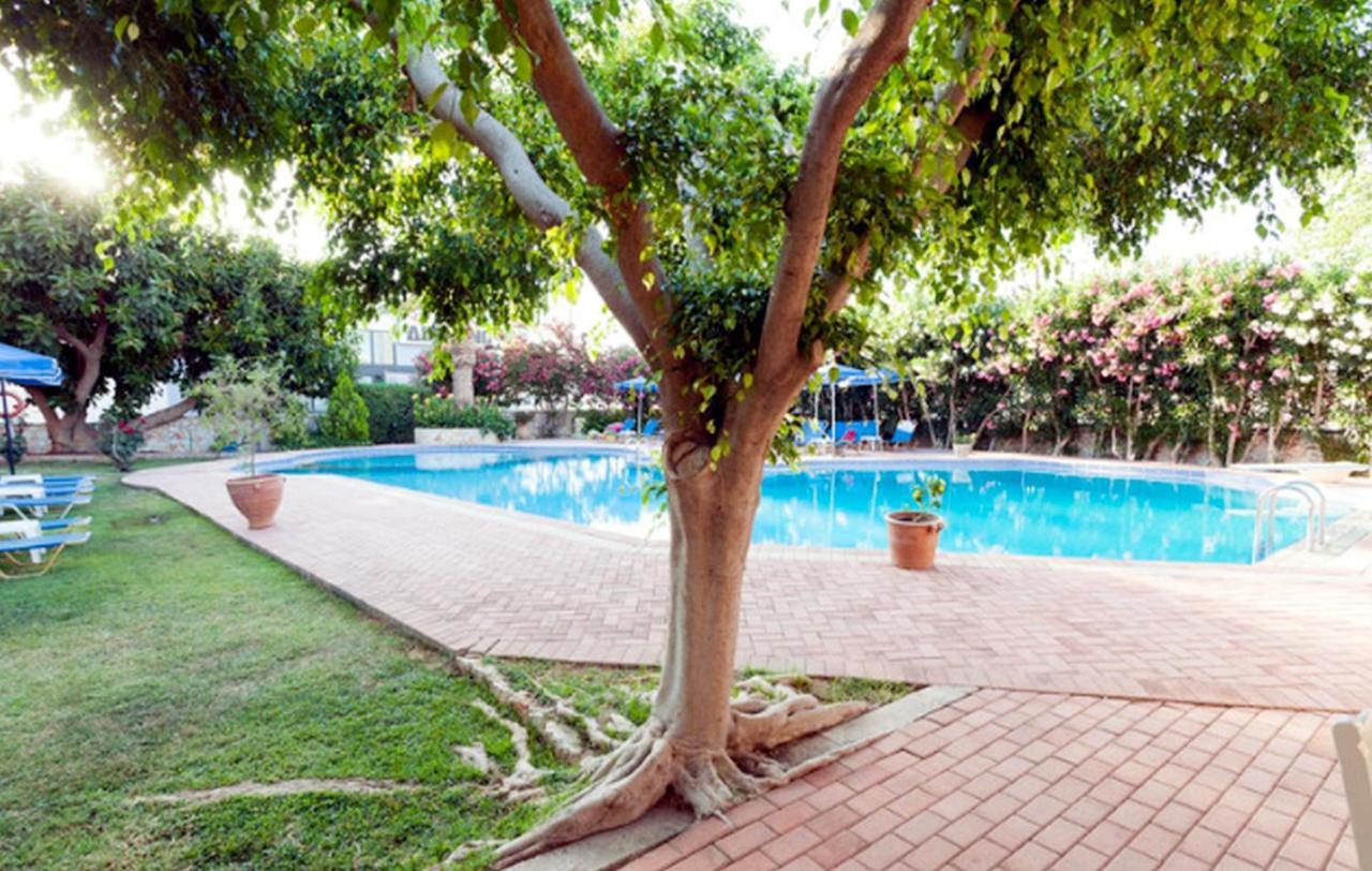 Lili Apartments,Oasis 2,5 Km From Hania Center Parigoria Exterior foto